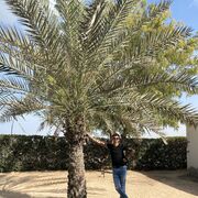 ���������� ����������, ���� ������� ������, 30 ���, ������������ ��� ����� � ���������, c�������� ���������