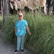  ,   , 56 ,   ,   