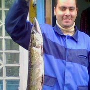  ,   Dmitryi, 40 ,   ,   , c 
