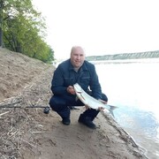 ���������� ������, ������� ���������, 37