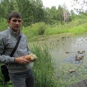  ,   , 39 ,   ,   , c 