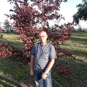  ,   , 50 ,     , c 