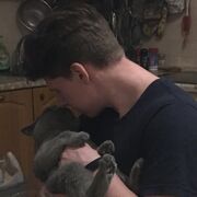 ���������� ����������, ���� ������� ����, 27 ���, ������������ ��� ������, ����� � ���������