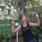  ,   , 52 ,   ,   
