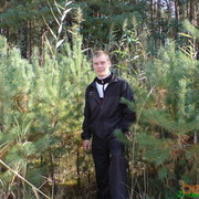 ���������� �������, ���� ������� ������, 38 ���, ������������ ��� ������, ����� � ���������, c�������� ���������