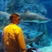 ���������� ���������, ���� ������� ����, 42 ����, ������������ ��� ������, ����� � ���������, c�������� ���������