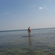  ,   Alex, 33 ,   ,   , c 