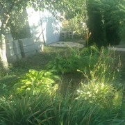 ���������� ���������, ���� ������� ���������, 52 ����, ������������ ��� ������, ����� � ���������, c�������� ���������