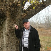  ,   , 73 ,   ,   , c 