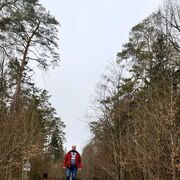  ,   , 44 ,   ,   