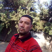  ,   , 41 ,   ,   
