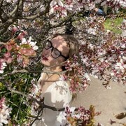 ���������� �����-���������, ���� ������� ������, 26 ���, ������������ ��� ���������