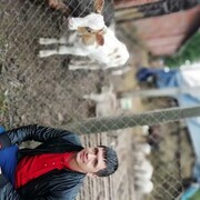  ,   , 37 ,   , 
