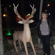  ,   , 51 ,   ,   , c 