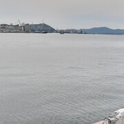 ���������� �����������, ���� ������� ������, 38 ���, ������������ ��� ������, ���������