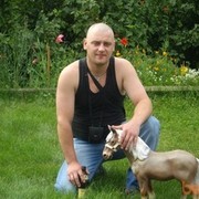  ,   , 43 ,   