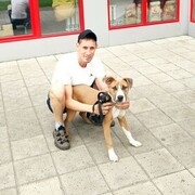 ���������� �����������, ���� ������� ����, 36 ���, ������������ ��� ����� � ���������, c�������� ���������