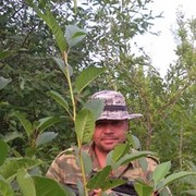 ���������� �������, ���� ������� �������, 50 ���, ������������ ��� ����� � ���������, c�������� ���������