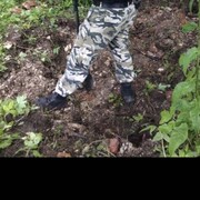 ���������� ������, ���� ������� ����, 59 ���, ������������ ��� ����� � ���������, c�������� ���������