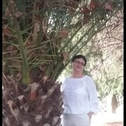 ���������� ����, ���� ������� ����, 66 ���, ������������ ��� ����� � ���������, c�������� ���������