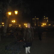  ,   Antonina, 66 ,     , c , 