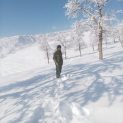 ���������� ������, ���� ������� ����, 29 ���, ������������ ��� ������, ����� � ���������