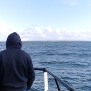 ���������� �������������-����������, ���� ������� ������, 41 ���, ������������ ��� ������, ����� � ���������, c�������� ���������