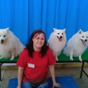 ���������� �������, ���� ������� �������, 36 ���, ������������ ��� ������, ����� � ���������, c�������� ���������