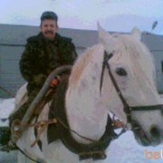   ,   Volk, 61 ,   , 