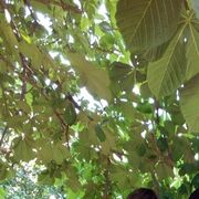  ,   , 40 ,   ,   , c 
