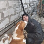 ���������� �����-���������, ���� ������� ������, 36 ���, ������������ ��� ������, ����� � ���������, c�������� ���������