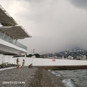 ���������� �����������, ���� ������� Viktor, 36 ���, ������������ ��� ������, ����� � ���������, c�������� ���������