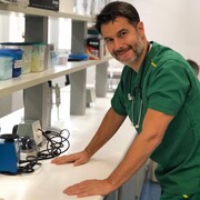 ���������� ������, ���� ������� Paul, 46 ���, ������������ ��� ������, ����� � ���������, c�������� ���������