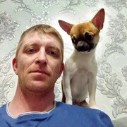  ,   , 41 ,   ,   
