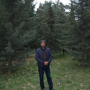  ,    30, 41 ,   