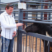 ���������� ������, ���� ������� ������, 59 ���, ������������ ��� ������