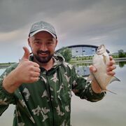 ���������� ������, ���� ������� �����, 36 ���, ������������ ��� ������, ����� � ���������