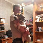 ���������� ������, ���� ������� �����, 43 ����, ������������ ��� ������, ����� � ���������