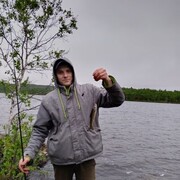 ���������� ��������, ���� ������� ����, 31 ���, ������������ ��� ����� � ���������, c�������� ���������