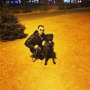 ���������� ���������, ���� ������� �����, 29 ���, ������������ ��� ������, ����� � ���������