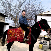 ���������� �������, ���� ������� Nnnnnnn, 34 ����, ������������ ��� ������, ����� � ���������, c�������� ���������, ���������