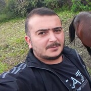 ���������� ���������, ���� ������� Elmar, 31 ���, ������������ ��� ����� � ���������