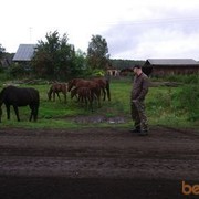 ���������� �����������, ���� ������� Alex, 43 ����, ������������ ��� ������