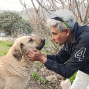  Alanya,    , 48 ,   ,   