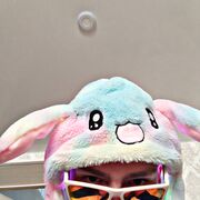 ���������� ������, ���� ����� ������, 22 ����, ������������ ��� ������, ����� � ���������