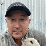  Wonju,  , 43