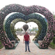 ���������� �����������, ���� ������� ����, 42 ����, ������������ ��� ������, ����� � ���������