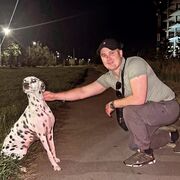 ���������� ���������, ���� ������� ���������, 27 ���, ������������ ��� ������, ����� � ���������