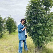 ���������� ����� �������, ���� ������� �����, 54 ����, ������������ ��� ������, ����� � ���������, c�������� ���������