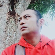 ���������� ������, ���� ������� Zibran, 36 ���, ������������ ��� ������, ����� � ���������